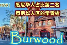 澳洲旅游，悉尼八大华人区系列视频，第一集，burwood, 悉尼生活视频封面