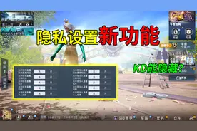 和平精英揭秘：隐私设置“新功能”，能隐藏KD？热力值也可以！