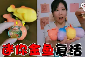 金鱼捏捏乐里有“迷你鱼缸”，还封印着超小金鱼，半夜就能复活？视频封面