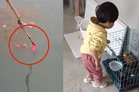 男童为抢救落水小猫的妈妈鼓掌  过后又收养了它视频封面