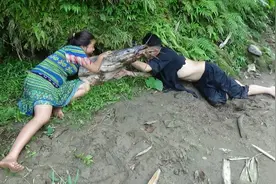 美女下河游泳，上岸拔草石缝中有鱼，顺手就把鱼抓了！视频封面