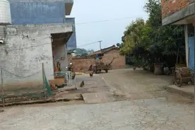 家里意外出现大量蚂蚁，清理过后第二天又来，原因谁也没想到