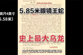 号称5.85米的史上最大眼镜王蛇竟然是乌龙？专家也会出现低级错误视频封面