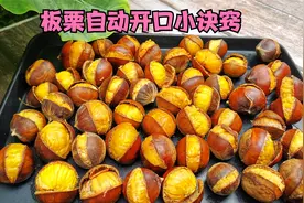 煮板栗最简单的做法，记住1个诀窍板栗自动开口#自己做出秋天味#