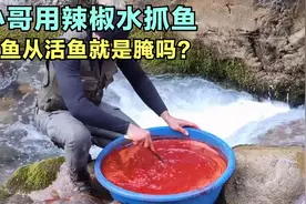 小哥用辣椒水抓鱼，一盆辣椒水，就把鱼辣的七荤八素，赚大发了！视频封面