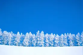毛主席的经典名言：错误经不起失败，但是真理却不怕失败视频封面