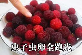 杨梅用盐和清水洗，等于吃虫卵，教你1招，虫子全都跑光光