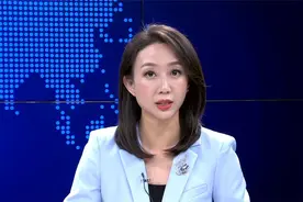 上海：以投资“私募基金”实施诈骗，涉案金额逾千万元|法治天地视频封面
