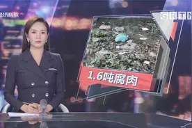 广州黄埔珠江惊现1.6吨腐肉 臭气熏天难忍受 环卫工穿防护服清理视频封面