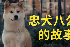 八公的主人，也在天堂的门口等了它很久吧视频封面
