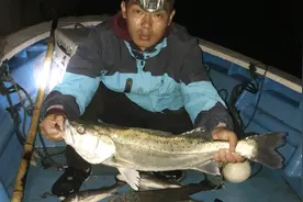 海蛎田夜钓大海鲈，两三小时收货二十多近，周围都是海鲈炸水！视频封面