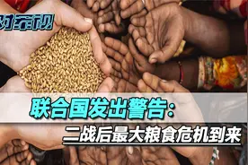 农田变战场后，乌粮食产量腰斩，全球面临粮荒，美国却仍不愿收手视频封面