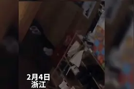 外卖小哥送外卖与家猫进行了“对话”，关键外卖小哥还听懂了视频封面