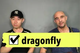 学习英语单词dragonfly