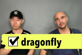 学习英语单词dragonfly