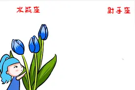 水瓶座vs射手座代表的植物，优雅的外表，内心却是向往自由的视频封面