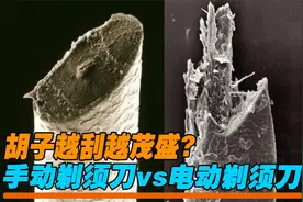 胡子越刮越茂盛？手动剃须刀vs电动剃须刀，放大1000倍看效果视频封面