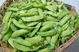 豌豆腊肉焖饭记忆中的味道，有空你们也试试，一人能吃两三碗