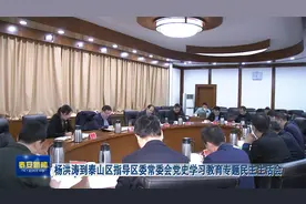 视频 | 杨洪涛到泰山区指导区委常委会学习教育专题民主生活会视频封面