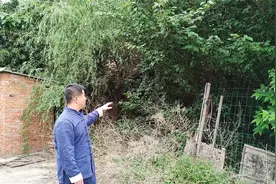 终南山下10亩地超大院子，环境优雅交通便利，众筹过田园生活如何视频封面