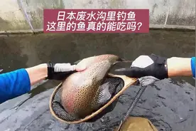 日本小伙为证明排污效果，在废水沟钓鱼，还真有大鱼上钩！视频封面