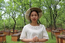 火爆全网的蜂蜜果冻怎么做？难道是假的？听养蜂人来揭秘视频封面