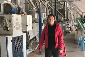 来钱快又暴利项目，一年可赚800万，一天出货量100吨，想暴富必看视频封面