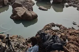 废弃多年的分苗池抽干后肥美凶猛的海货乱窜，每只都是大家伙视频封面