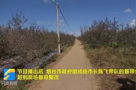 最新！栖霞观里镇机耕路已对部分路段进行硬化，明年春天全面施工视频封面