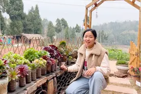 种多肉别花钱买土，教你零成本配土，养出来的多肉太漂亮了