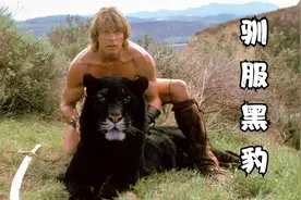 猎人好心救下一只黑豹，黑豹把他当兄弟保护，动物奇幻电影视频封面