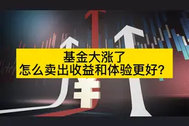 基金大涨了 怎么卖出收益和体验更好？视频封面
