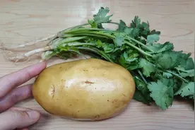土豆特色吃法，加1把香菜，拿来招待客人，上桌比大鱼大肉受欢迎视频封面