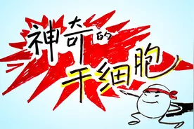 3分钟动画讲解：神奇的干细胞！点燃生命希望之火！视频封面
