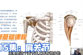 肩关节精细解剖讲解，以及方肩，扛肩，肩膀脱位原因机制，纯干货视频封面