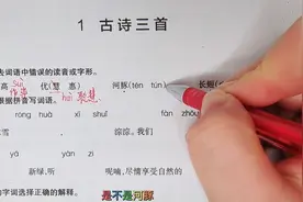 三下语文第1课《古诗三首》：同步测试题，精讲细练（附答案）视频封面