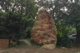 寻找适合养身跑的地方-广州油麻山视频封面