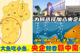 中央上收赣中南赣州抚州萍乡吉安等6大明星企业，从此赣企变央企视频封面