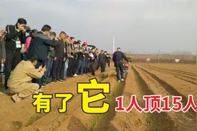 1人干15人活，全自动大葱移栽机一次完成6道工序，你心动吗？视频封面