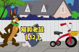 猫和老鼠国语版（12）视频封面