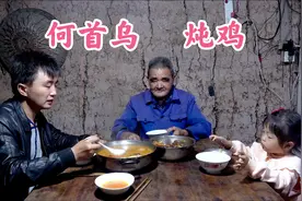 徐三娃帮丈母娘撒菜籽，发现天然何首乌，挖几个回家炖鸡汤真好喝视频封面