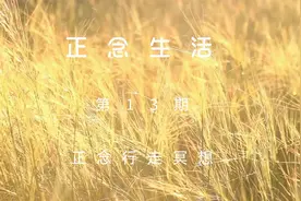 正念生活--正念行走冥想视频封面