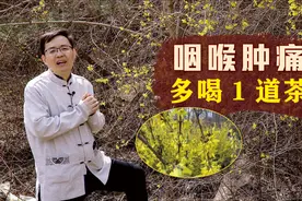 感冒上火，咽喉肿痛，1味常见中药泡水喝，清热解毒，消肿利咽视频封面