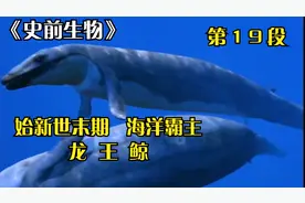 史前生物：始新世的末期，海洋霸主龙王鲸生存之路，视频封面