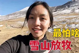 来西藏牧区咋预防感冒？藏族姑娘雪山放牧，海拔4000多米会高反吗视频封面