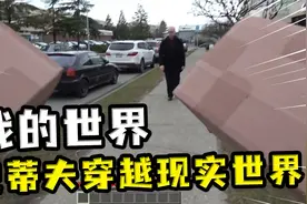我的世界：史蒂夫的现实世界之旅？以为是僵尸村民，误伤蹲了局子视频封面