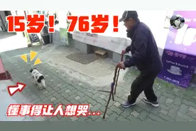 15岁狗狗，陪伴近80岁老人，相依为命互相照顾，太让人暖心了视频封面