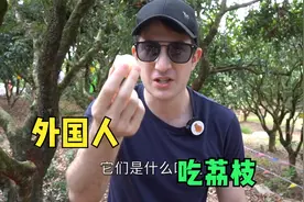 外国人第一次吃中国荔枝，试吃1300年荔枝，95%美国人可能没吃过视频封面