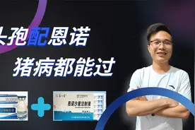头孢配恩诺，能解决猪场5个难题，每个都是常见的难缠的头疼的视频封面
