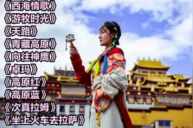 十首好听经典藏歌，来自高远纯净的天籁之音，仿佛在草原激情飞舞